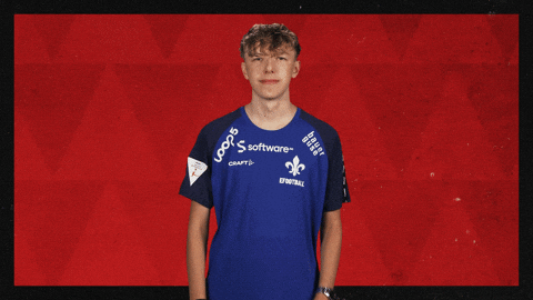Sv Darmstadt 98 Football GIF by Bundesliga