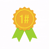 Gold Winner GIF by WorldSkillsNL