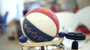GIF by Harlem Globetrotters