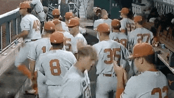 Baseball College GIF by NCAA Championships