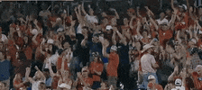 Baseball College GIF by NCAA Championships