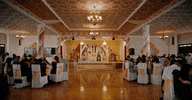 djsnake happy party dancing celebration GIF