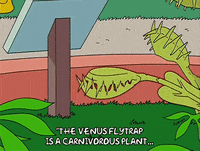 homer simpson GIF