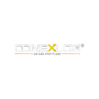 conexlogoficial cargas conex cargas expressas conexlog Sticker