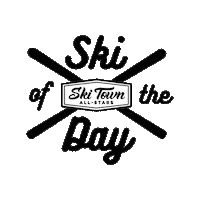 Winter Skiing Sticker by Ski Town All-Stars