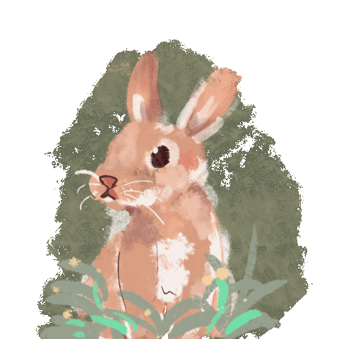 nancy9117 animal rabbit lovely 可愛 Sticker