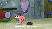 season 9 GIF by SpongeBob SquarePants