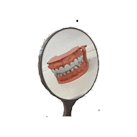 Dentistry Spiegel Sticker by kfo.bergheim