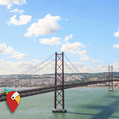 holidaypirates giphygifmaker travel adventure beautiful GIF