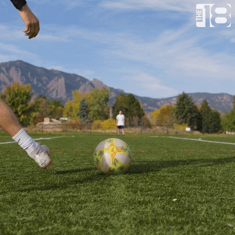 marielmccown giphyupload GIF