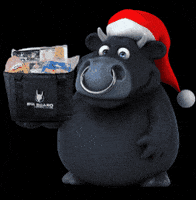 Fim De Ano GIF by Boi Brabo