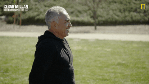 Dogwhisperer GIF by National Geographic Channel