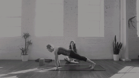 sunnysidecreativeco giphygifmaker GIF