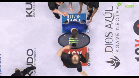 giphy.gif