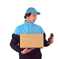 Chronopost smile delivery driver transport Sticker