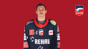 Hockey Rolling Eyes GIF by Selber Wölfe