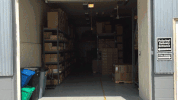 GIF by Polyvinyl Records