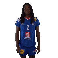Ffhandball Celebrating Sticker by Fédération Française de Handball