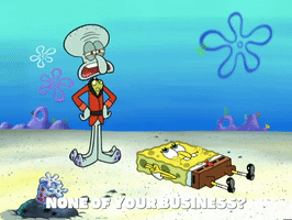 season 6 porous pockets GIF by SpongeBob SquarePants