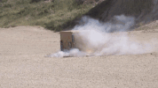 carl's jr GIF by ADWEEK