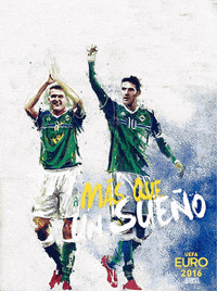 irlanda del norte euro GIF by ESPN FC