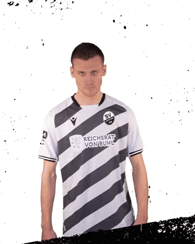 3Liga Wirechtanders GIF by SV Sandhausen