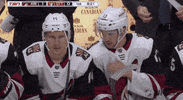 ice hockey GIF by NHL