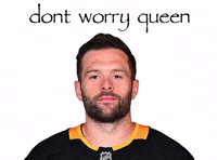 Pittsburgh Penguins Nhl GIF
