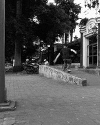 fishskateshop  GIF