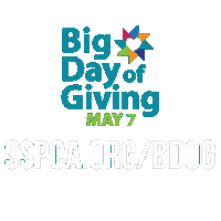 Big Dog Sticker by Sacramento SPCA