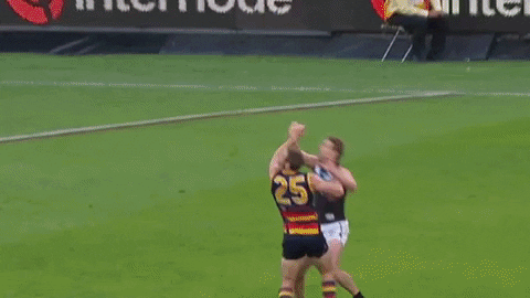 GIF by Port Adelaide FC