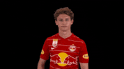 Call Me Phone GIF by FC Red Bull Salzburg