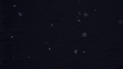 Team Usa Sport GIF by U.S. Ski & Snowboard Team