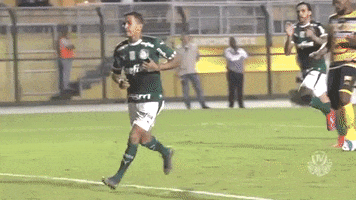 Palmeiras soccer kiss amor gol GIF