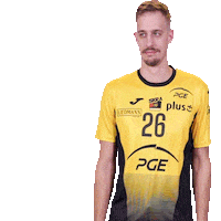 Look Volleyball Sticker by PGE Skra Bełchatów