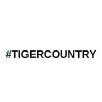 amstigercheer amstigercheer adairsvilletigers adairsvillemiddlecheer adairsvillecheer Sticker