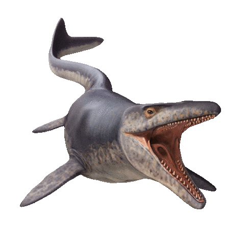 Efm Sticker by Edelman Fossil Park & Museum