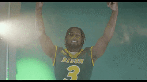 North Dakota State Bison GIF by NDSU Athletics