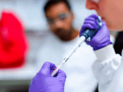 You Can Wow GIF by FranchiseONE.de