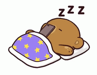 Dormir GIF by memecandy