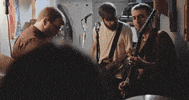 mergerecords cat modelo bob dylan titus GIF