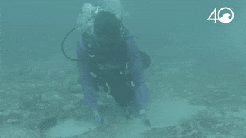 Environment Osborne GIF by 4ocean