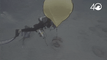 Environment Osborne GIF by 4ocean