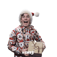 Happy Merry Christmas Sticker by SWR3