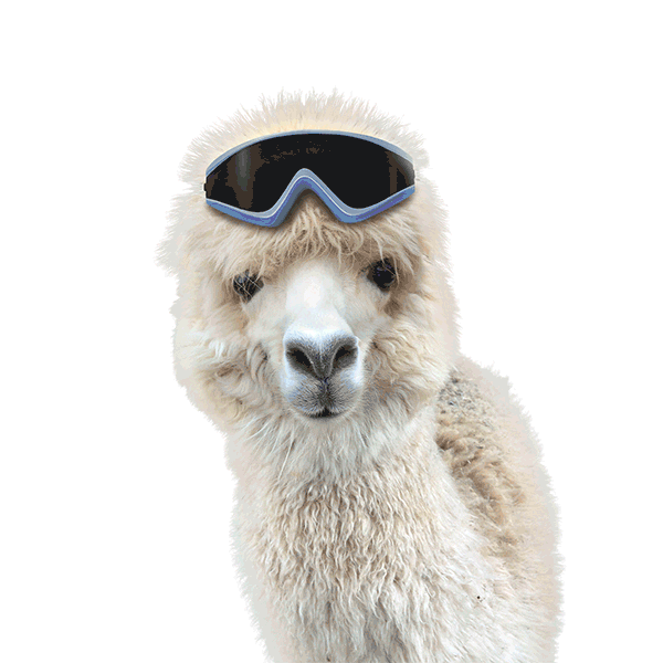 Llama Alpaca Sticker by Chris Burkard