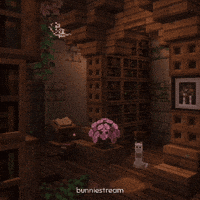 Cat Library GIF