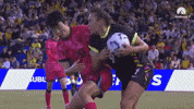 Caitlin Foord Fight GIF by Football Australia