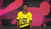 Borussia Dortmund Football GIF by Bundesliga