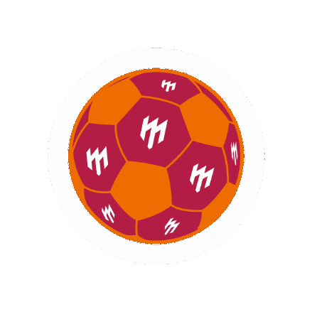 Football Spinning Sticker by temp-school