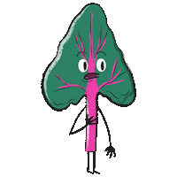 Shocked Salad Sticker by 80 Acres Farms